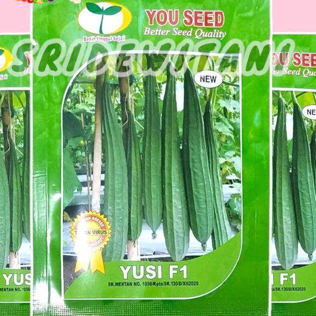 Mantabetul Bibit Benih Oyong Emes Tahan Virus Yusi F1 10 Gram You Seed Setara Anggun F1 Panah Merah