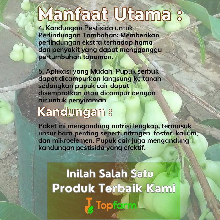 Gardening Mikha Pupuk Khusus Buah Jambu Air / Paket Pupuk Jambu Air Berbuah Lebat / Pupuk Cair