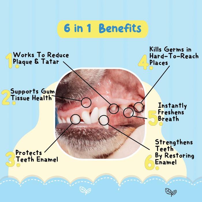 Dental Water + Wild Alaskan Salmon Oil Lerys - Dental Water + Wild Alaskan Salmon Oil