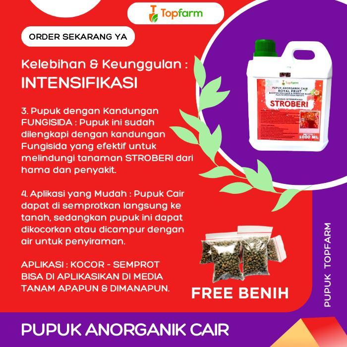 Mantabetul Pupuk Strawberry / Booster Stroberi / Pupuk Pelebat Stroberi / Pupuk Pembesar Buah
