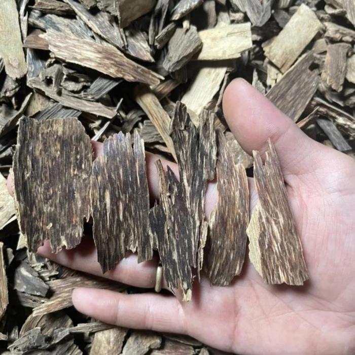 kayu gaharu agarwood wangi bagus 100gr