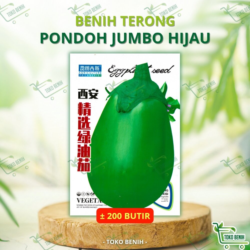 ± 200 BUTIR BENIH IMPORT TERONG PONDOH JUMBO HIJAU KEMASAN PABRIK