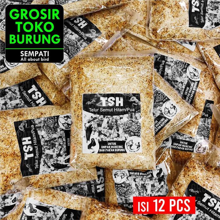 Sempati Grosir Tsh Telur Semut Hitam Isi 12 Pcs Pakan Burung Serbuk Telur Pua Poa Pengganti Kroto