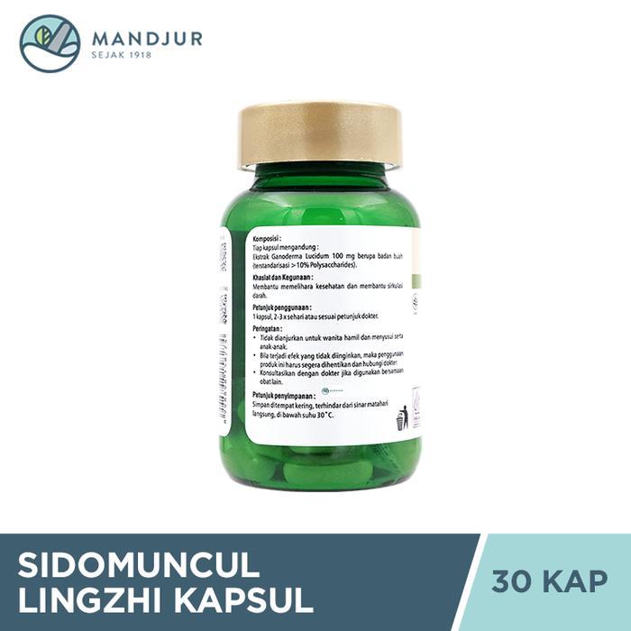 lebx- Lingzhi Kapsul Sidomuncul