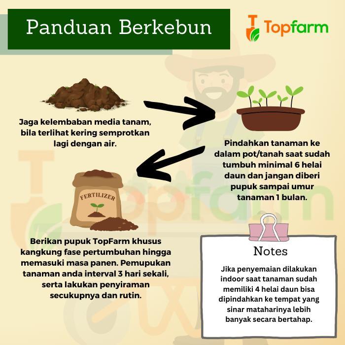 Mantabetul Benih Pakcoy Premium / Benih Pakcoy / Bibit Pakcoy / Benih Tanaman Pakcoy / Biji Pakcoy