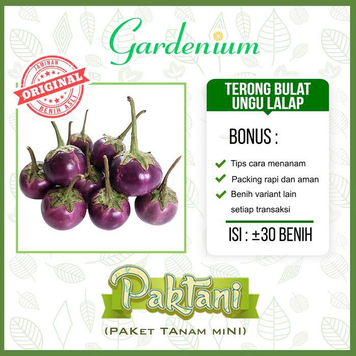 Mantabetul Paket 7 Macam Benih Sayuran Lalap ( Kemangi Terong Selada Merah Mentimun Tomat Sayur )