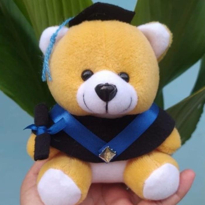 ib91- Boneka Untuk Hiasan Bucket/Boneka Wisuda