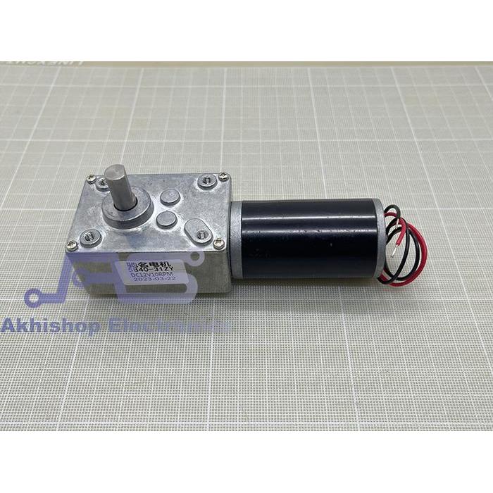 Permanent Magnet Worm Gear Motor DC 5840GW31ZY 12V 10RPM