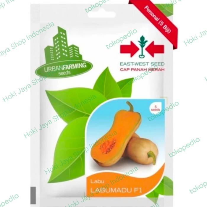 {{{{}}] Benih Butternut Labu Madu F1 Cap Panah Merah PT East West 5 Seed