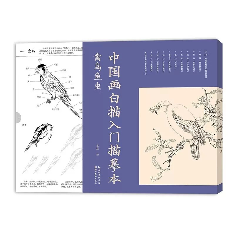 Introduction to Line Drawing in Chinese Painting for Birds, fishes and insects Art Book
