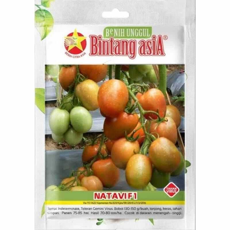 0,5 Gram Benih Tomat Natavi F1 Exp 2025
