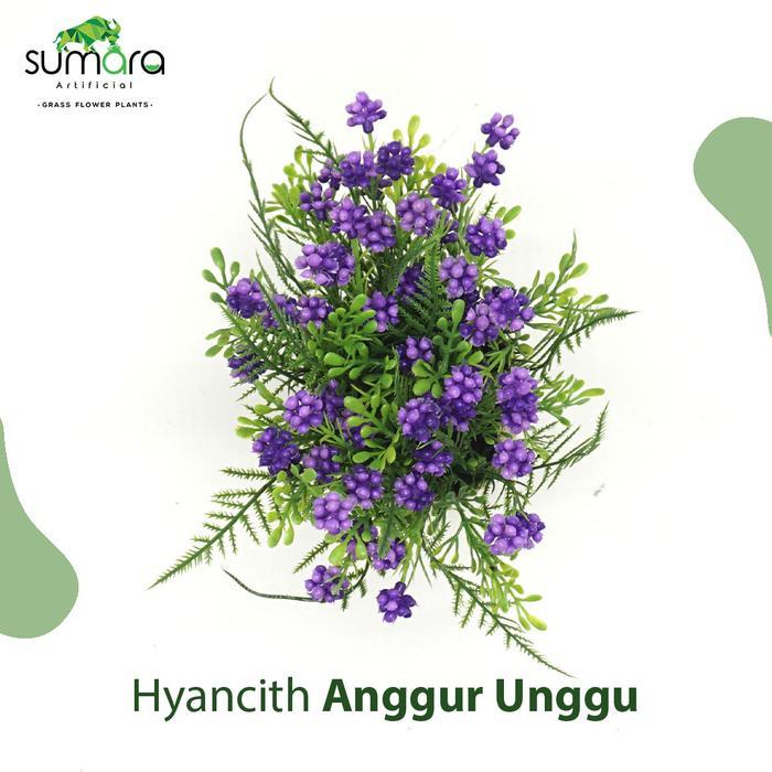 zj6d- Hyancith Anggur Unggu Pot Karung