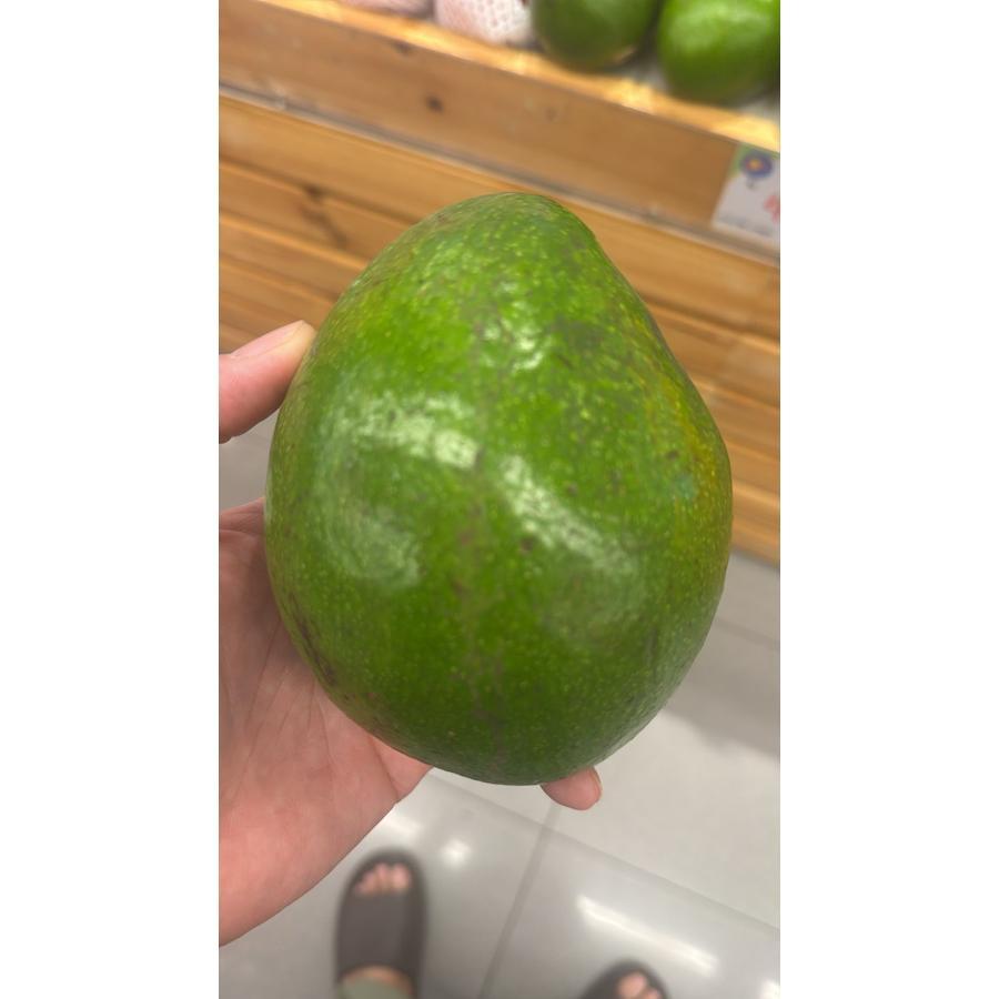 Buah Alpukat Segar Premium