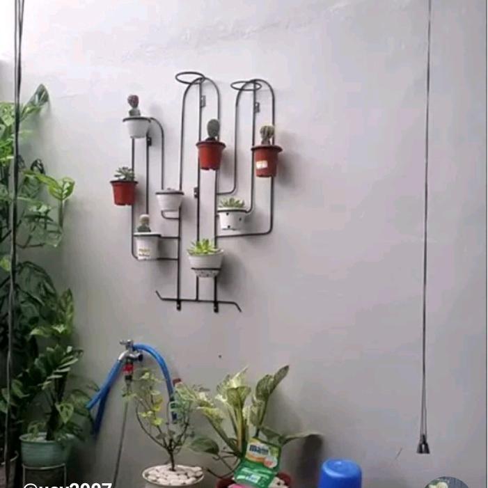 Digazsin_ Rak Pot Kaktus Tempel Dinding / Rak Kaktus Dinding / Rak Bunga Kaktus