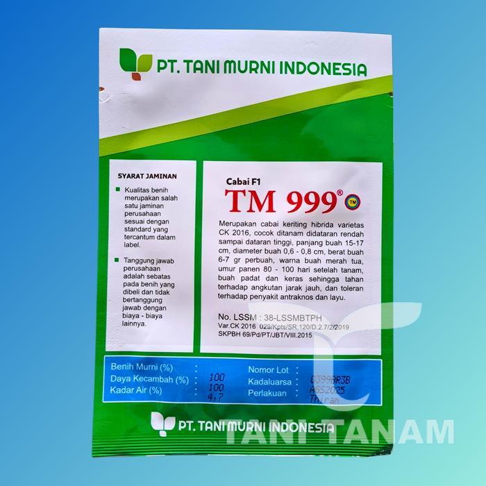 Chantelna_ Cabai Keriting Tm 999 F1 Tani Murni Indonesia // Cabe Tm 999