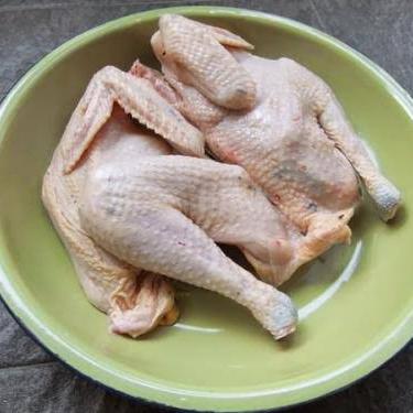 New Ayam Kampung Fresh Organik (Berat hidup 700 gram)