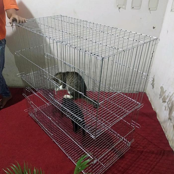 KANDANG KUCING TINGKAT 2SAP