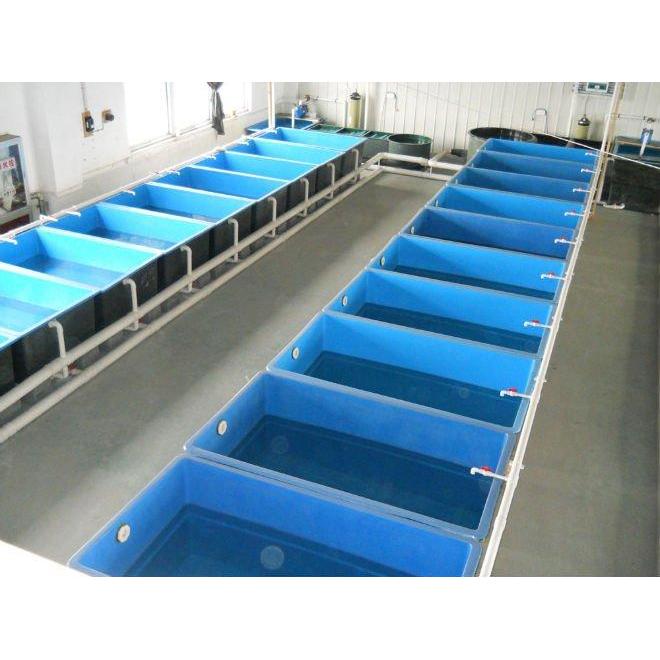 KOLAM/BAK IKAN FIBER SISTEM RAS