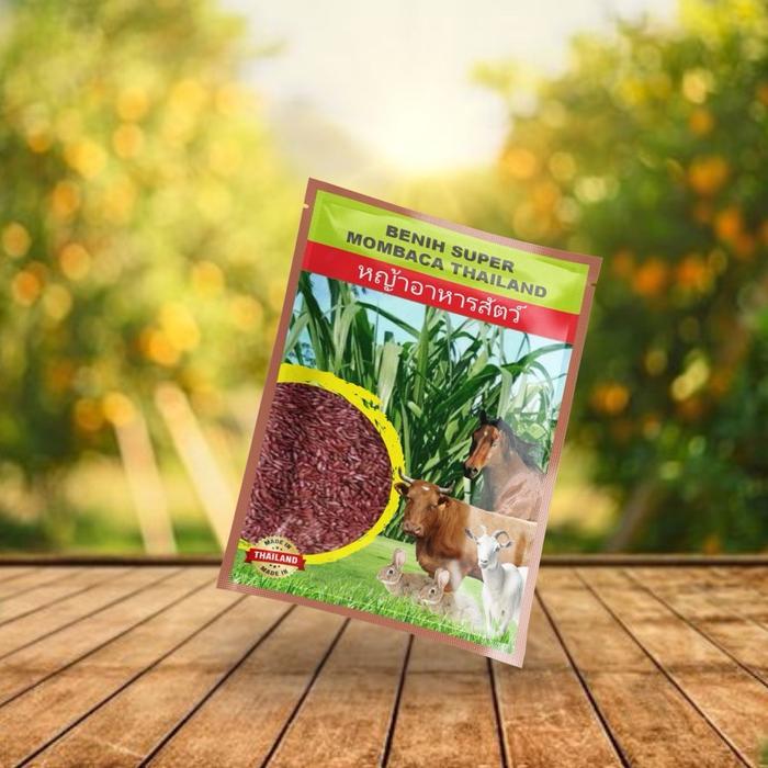 Digazsin_ Gardenfarm - [] Benih Rumput Super Mombaca/Mombaca Ghine - Bibit Rumput Super Mombaca -