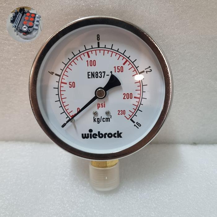 16 Bar Pressure gauge 4 inch WIEBROCK