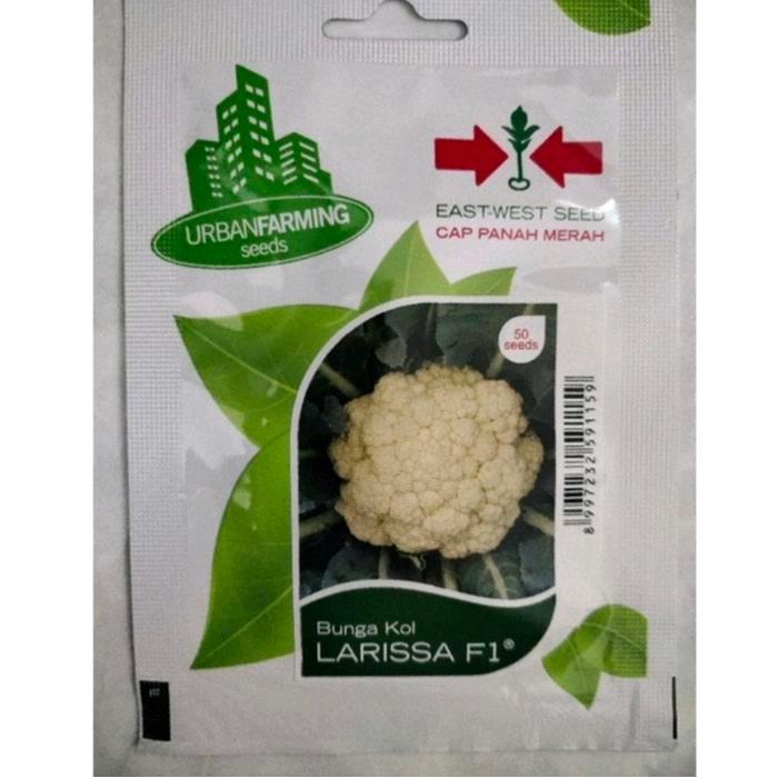 Kualitas terbaik] Benih Bunga Kol Larissa F1 PT East West Cap Panah Merah 50 Seed