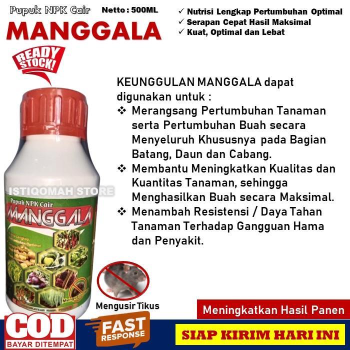 Lubis Gardening Pupuk Sawit Tanam Yang Bagus Agar Cepat Berbuah Lebat Dan Berat Manggala 500Ml Pupuk