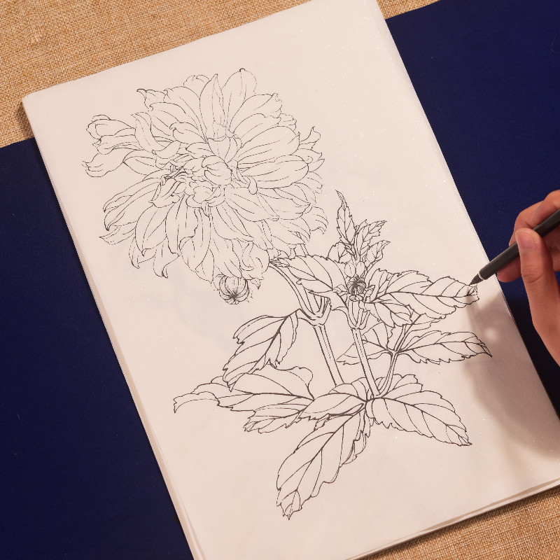 Meticulous Painting Line Drawing Manuscript Painting Paper Traditional Plum Orchid Bamboo Chrysanthe