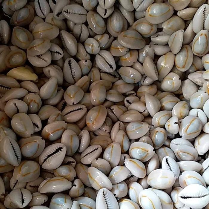 Kuwuk / Biji mainan bekel kerang asli