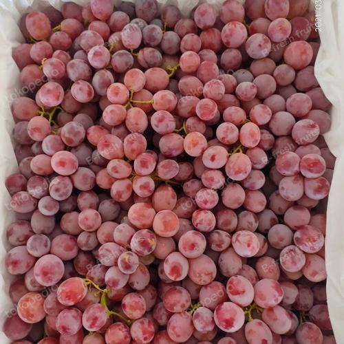 Anggur Merah Chili 1kg