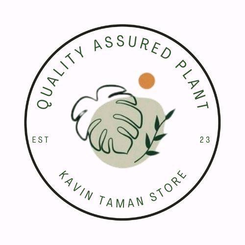 Digazsin_ Tanaman Hias Anggrek Dendrobium Black Jack Siap Berbunga - Pot Plastik/Polibag Dengan