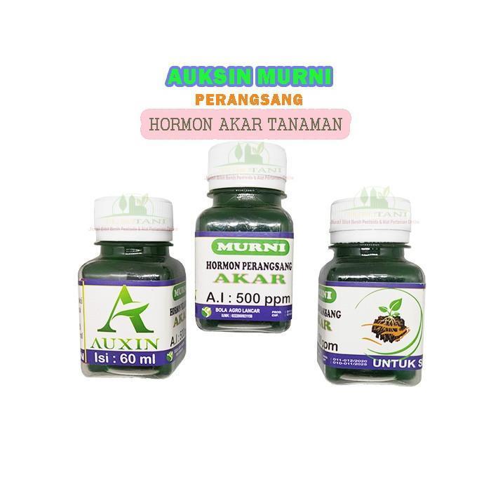 Puro Stimulan Hormon Akar Auksin Murni ZPT Akar Auxin Murni Tanaman BIG SALEKP532