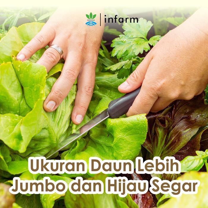Mantabetul Infarm - Pupuk Organik Cair Tanaman Daun / Sayur 500Ml Poc Kompos Pupuk Infarm Pupuk