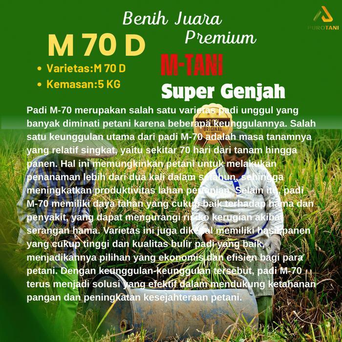 Thejaguar1 Bibit Padi M70D M70 Benih M-70 M Tani 5Kg