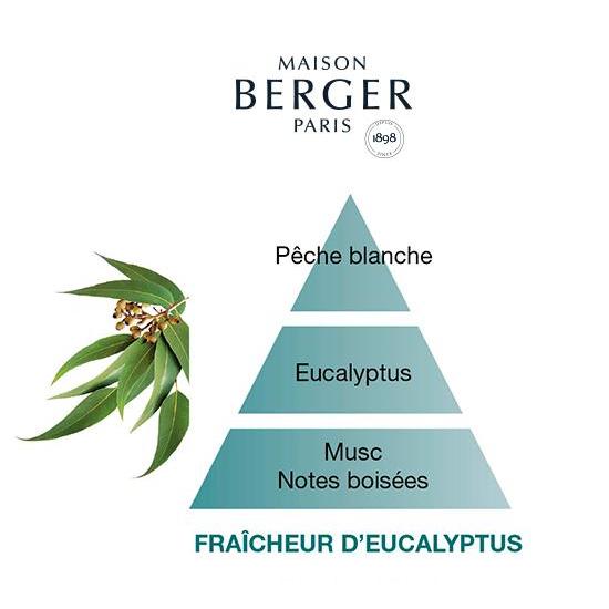 Lampe Berger oil Eucalyptus 1Lt