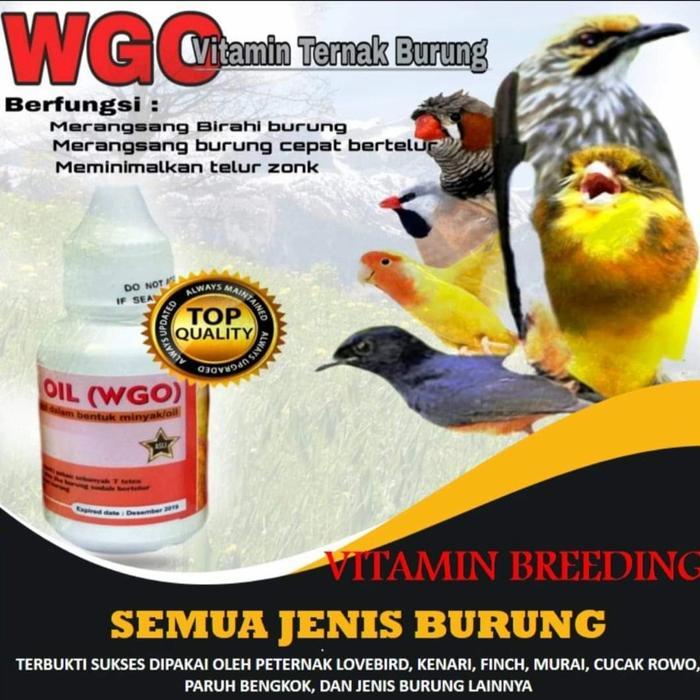 Wgo Vitamin Ternak Segala Jenis Burung Wgo Wheat Germ Oil Original