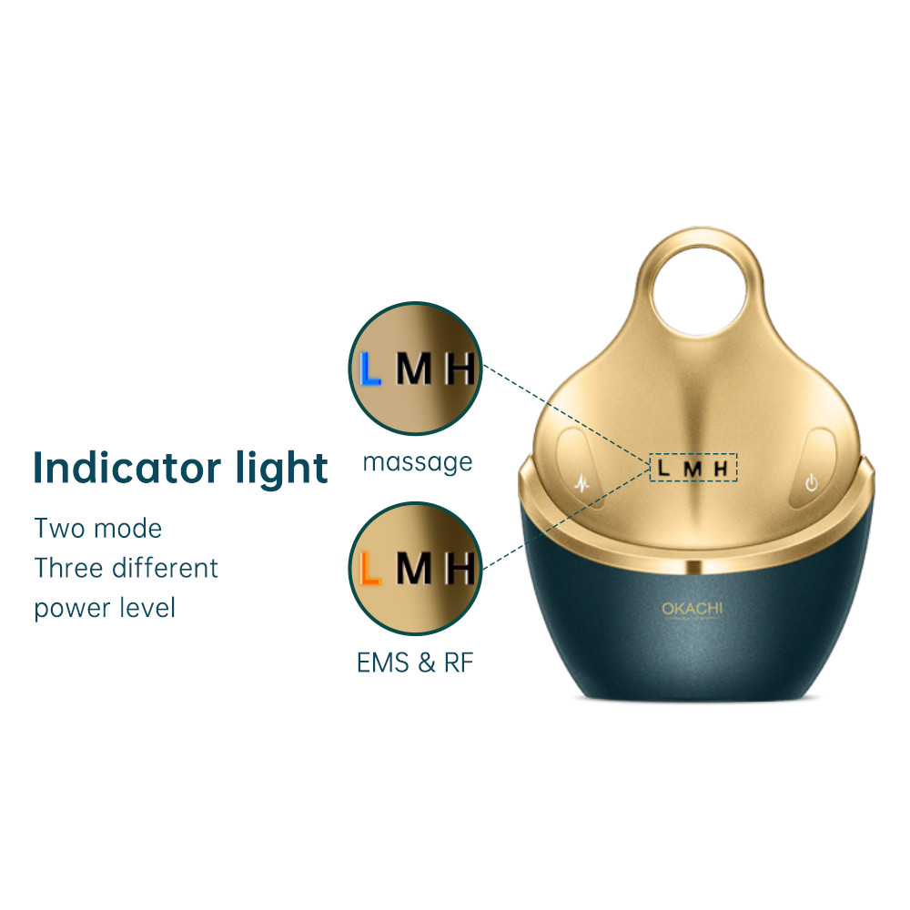 5 in 1 Facial Massager RF EMS with 4D Massage Head Home Use Facial Device Promote Face Cream Absorpt