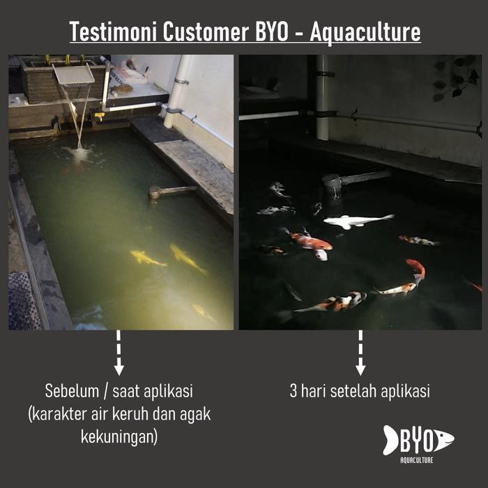 Clay Koi - Penjernih Kolam Koi / Clay Basic (Murni Clay)