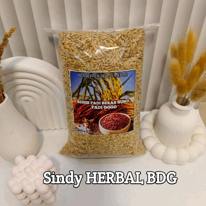Mantabetul Benih Bibit Padi Darat Huma / Padi Gogo Super Unggul Isi 1 Kg Untuk Lahan Kering
