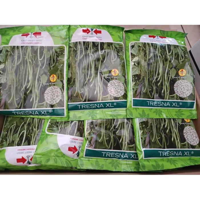 Mantabetul Benih Buncis,Benih Tresna Xl 500Gram,Buncis Tresna