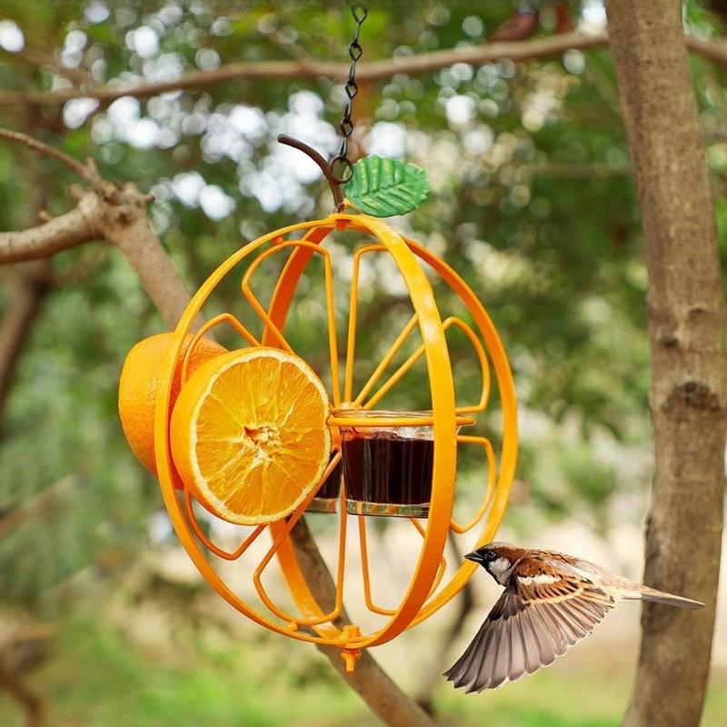 Hummingbird Feeder Station with Automatic Bird Feeder, Outdoor Hummingbird Waterer for Small Birds,