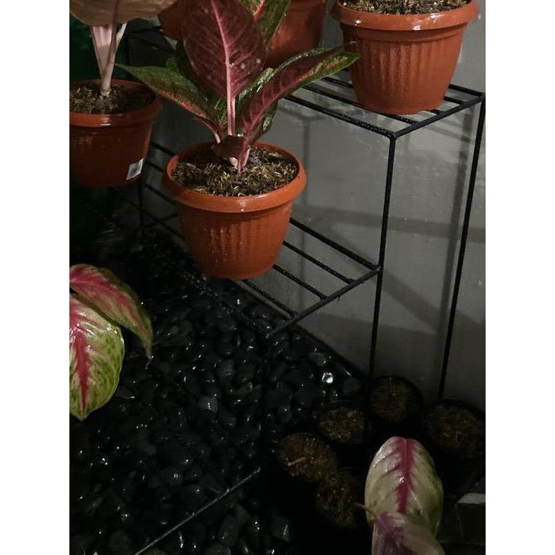 Mantabetul Rak Besi 3 Tingkat 1 Meter / Standing Pot Susun / Rak Bunga Besi Susun / Rak Bunga / Rak