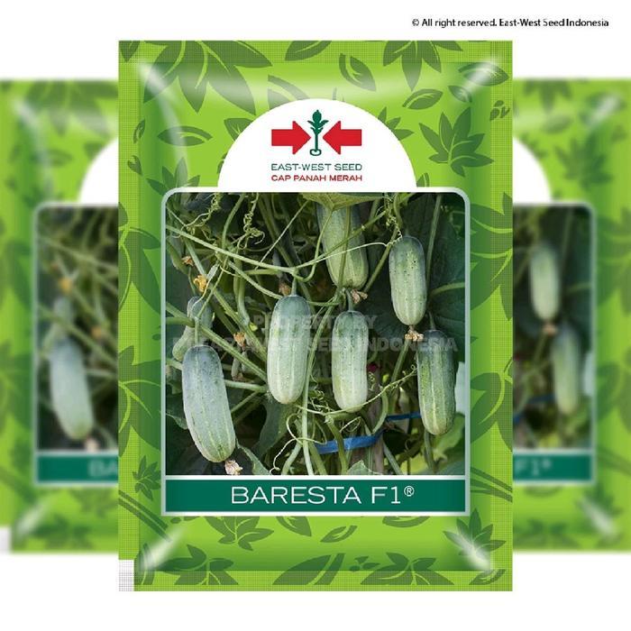><><><] Benih Timun Mentimun Baby BARESTA F1 Panah Merah 175 Biji Seed SMALL POUCH