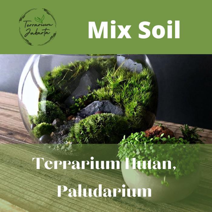 Mix Soil Media tanam terrarium Hutan Media Tanam Paludarium