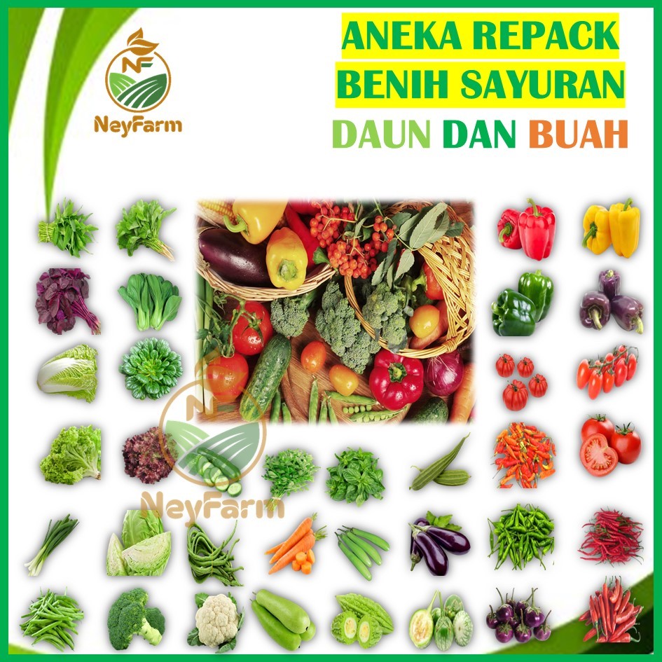 Benih Sayur Sayuran Daun Buah Rumahan Lengkap Berkualitas - Benih Sayur
