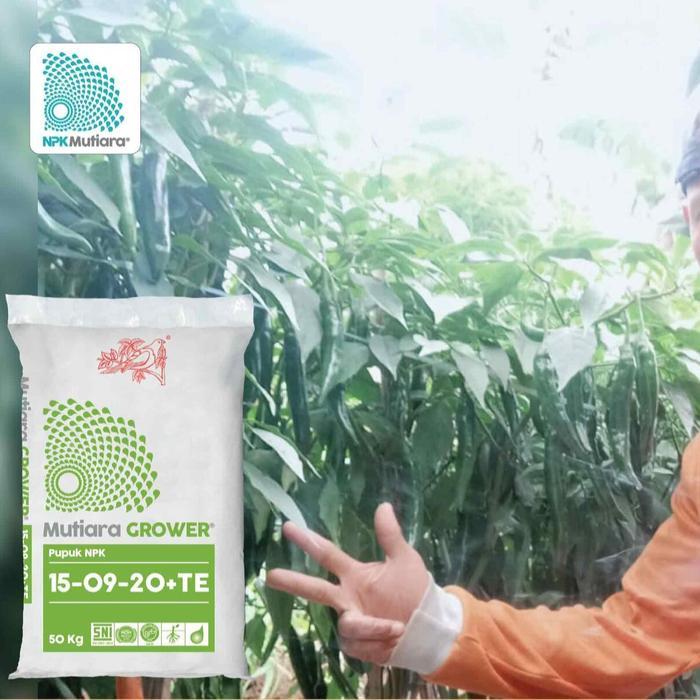 Puro NPK Mutiara GROWER 15-09-20+TE Meroke NPK grower 25 KG SPECIALKC257