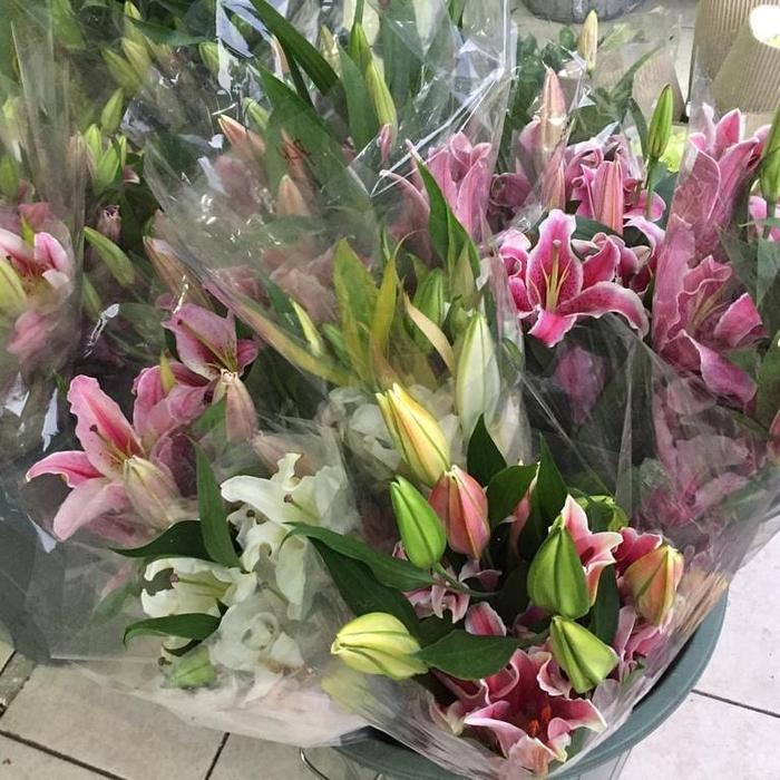 j6p4- Bunga Lili Putih White Lily Fresh Segar Asli 5 Tangkai