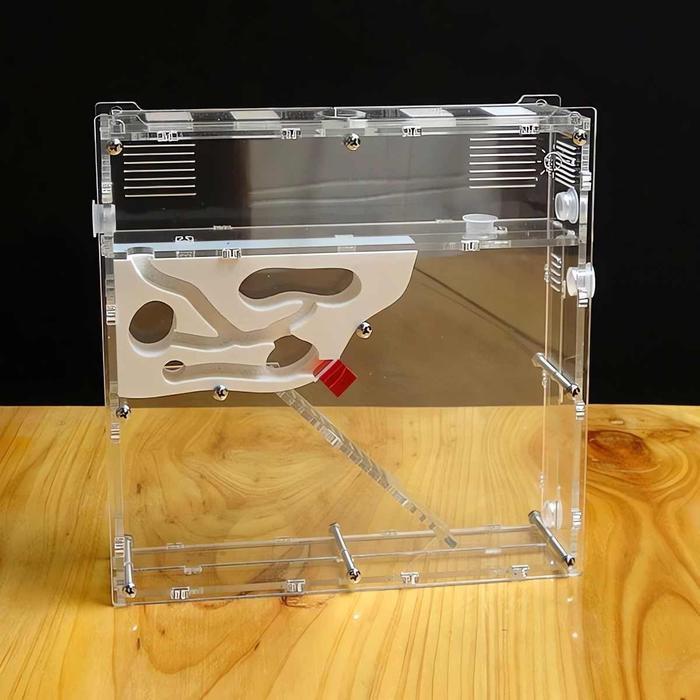 Formicarium Berpasir V1, Formicarium akrilik, ants nest, ant, gypsum nest, concerte nest, akrilik