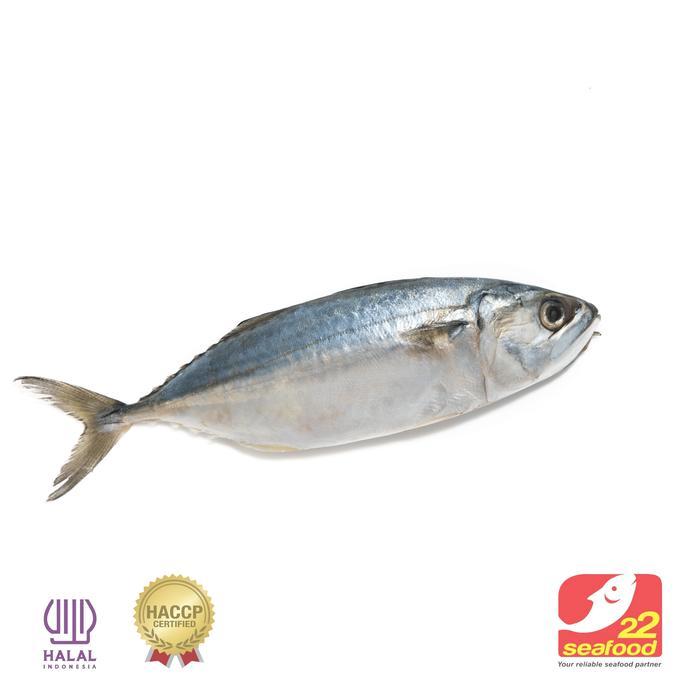 Ikan Kembung / Kembung 1 kg / Ikan Kembung Banjar / Seafood 22 Frozen