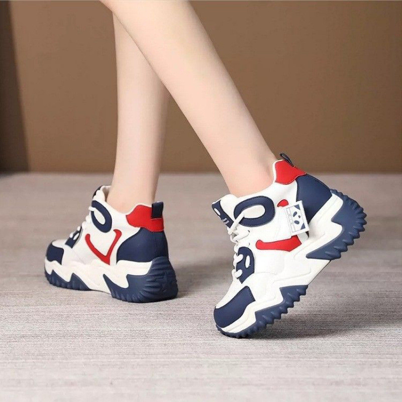 Vintage daddy shoes for women 2025 fall heightening and thickening women shoes, casual shoes,