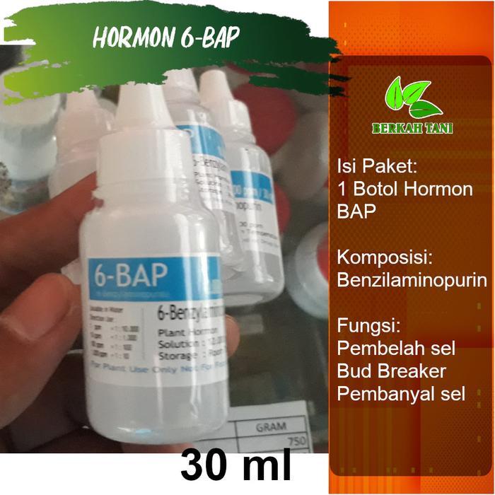 New Hormon BAP 30 ml Bud Breaker Penumbuh Bunga Anggrek